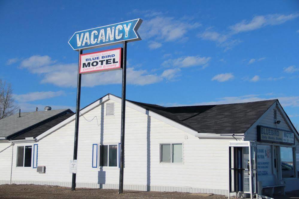 Bluebird Motel Innisfail Exteriör bild